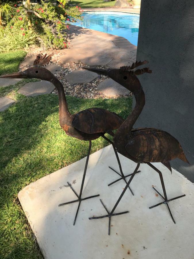Bush Pillow Guest House Otjiwarongo Bagian luar foto